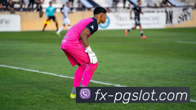 PG电子娱乐官网发展历程